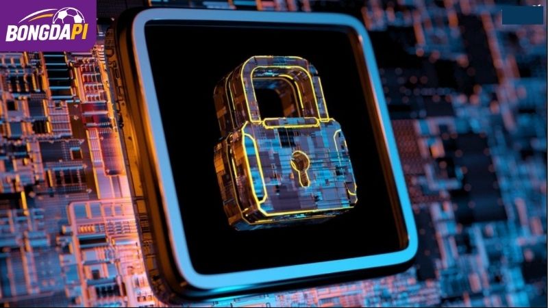 Chính sách bảo mật chuyển đổi bổ sung trên trang web