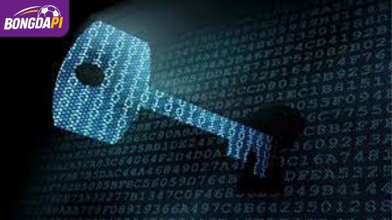 Vấn đề sử dụng nội dung trên trang web