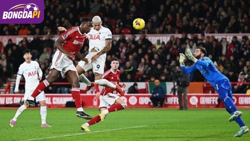 Đánh giá lực lượng Nottingham Forest vs Tottenham Hotspur